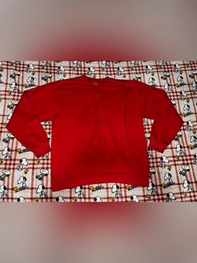 Fruit of the Loom Red Crewneck Sweater